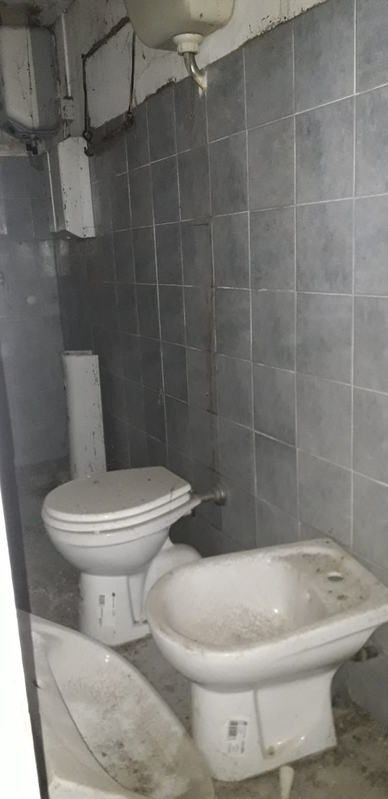  - foto 17