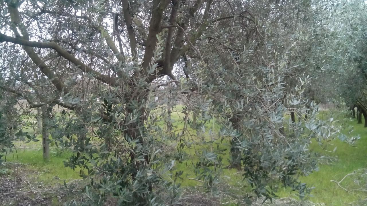  - foto 3