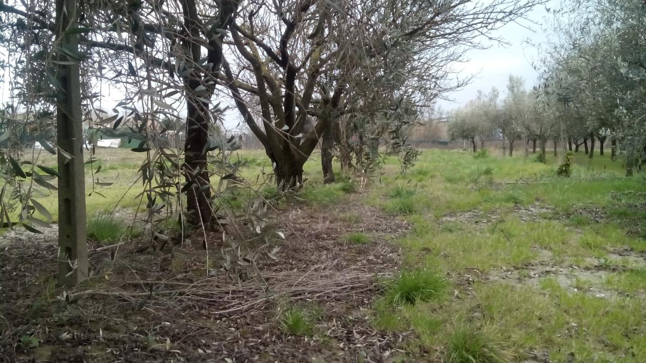  - foto 4