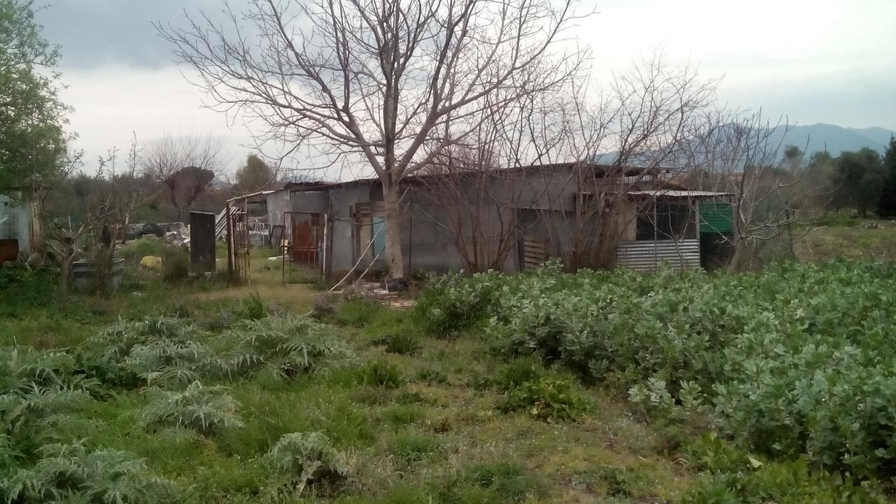 - foto 5