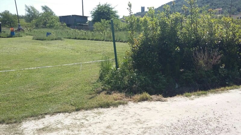 Terreno agricolo Via Carlo Matteucci, Pisa