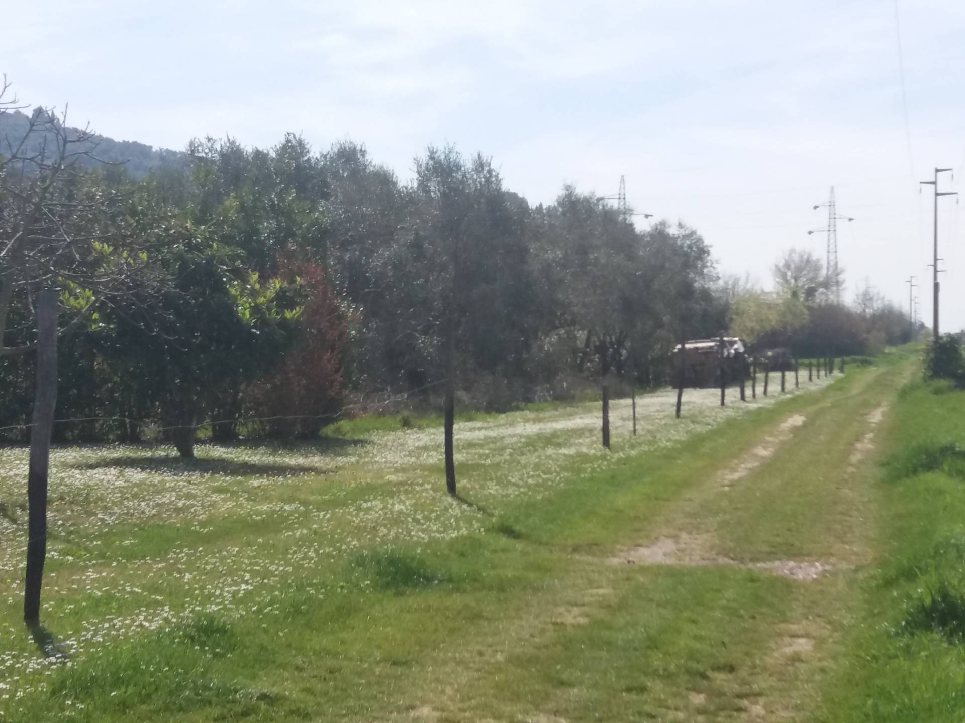  - foto 5