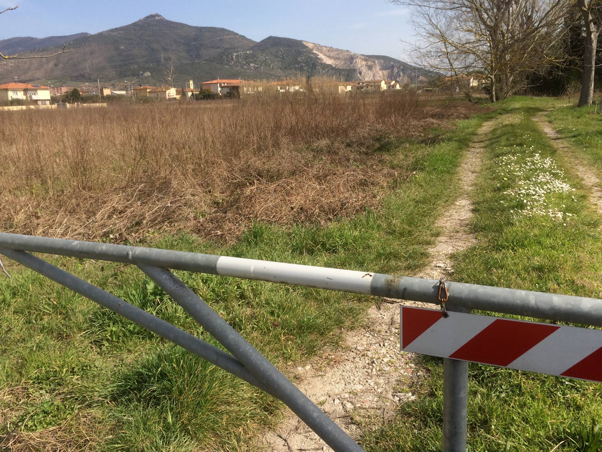  - foto 4