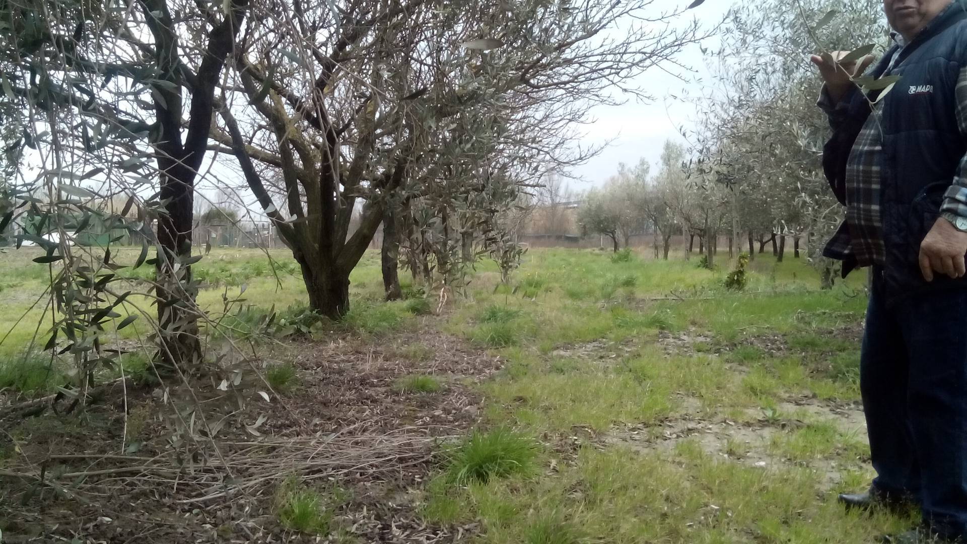 immagine annuncio 3 di 4
