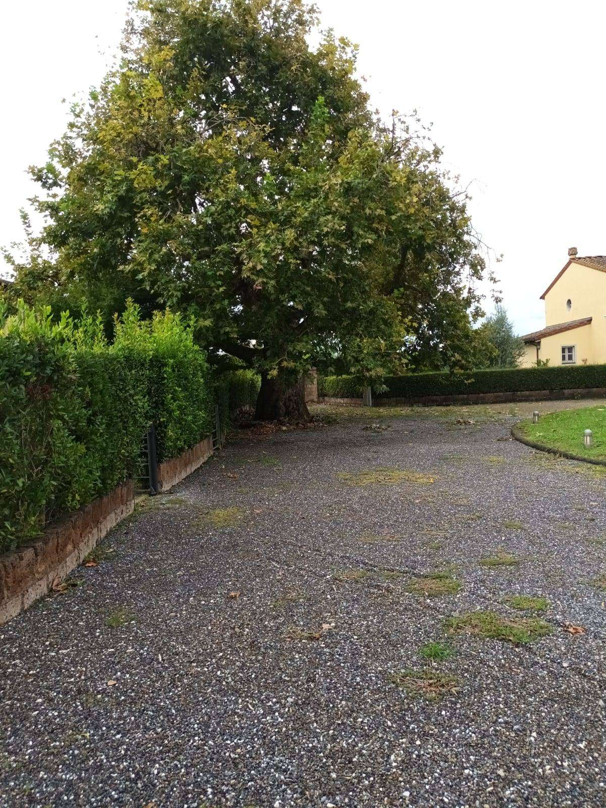  - foto 14