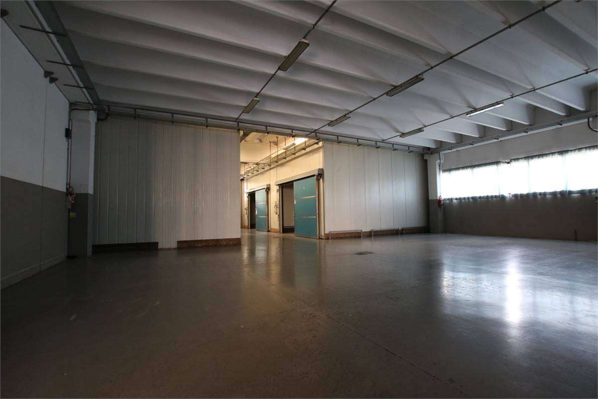  - foto 13