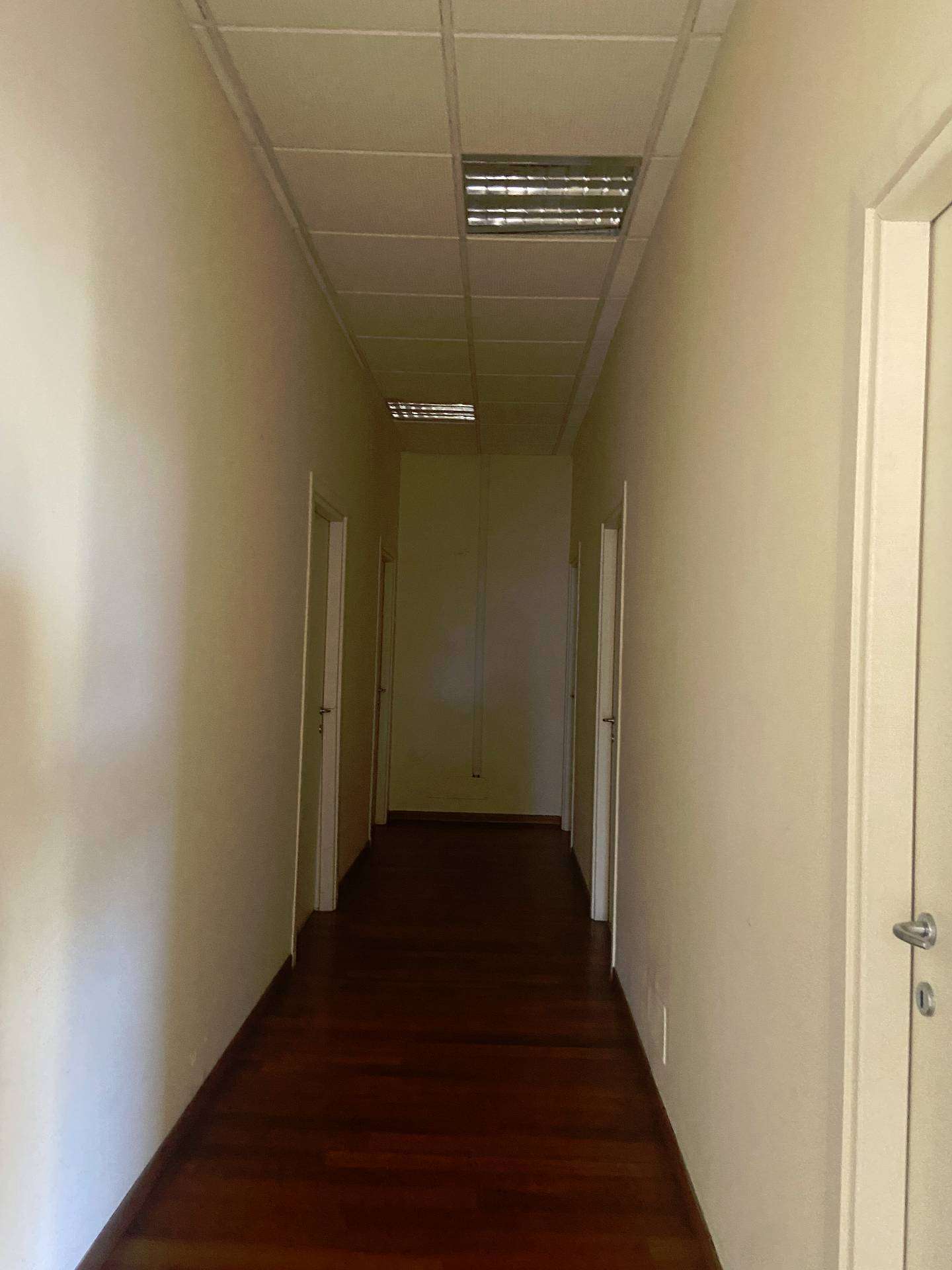  - foto 13