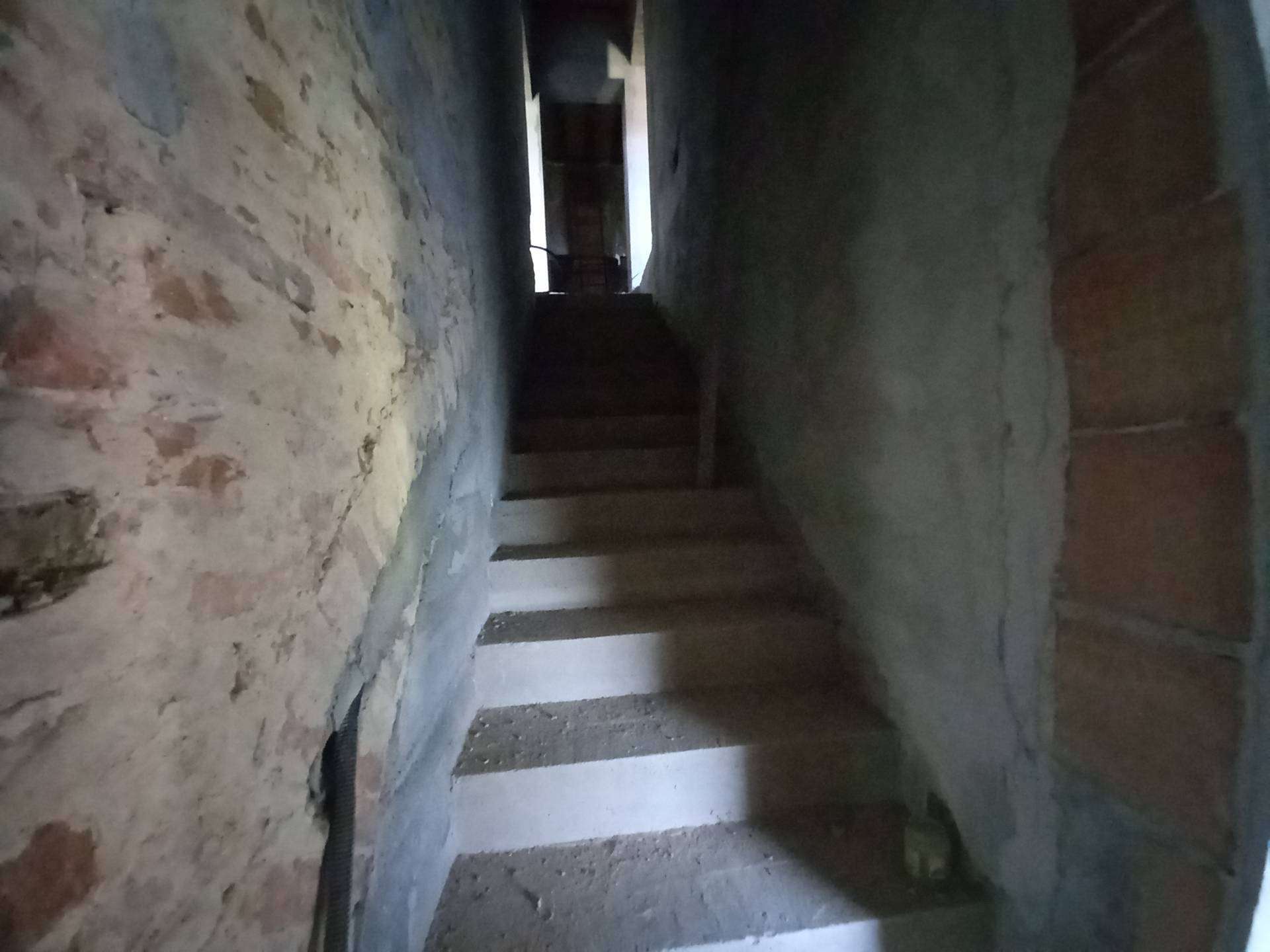  - foto 13