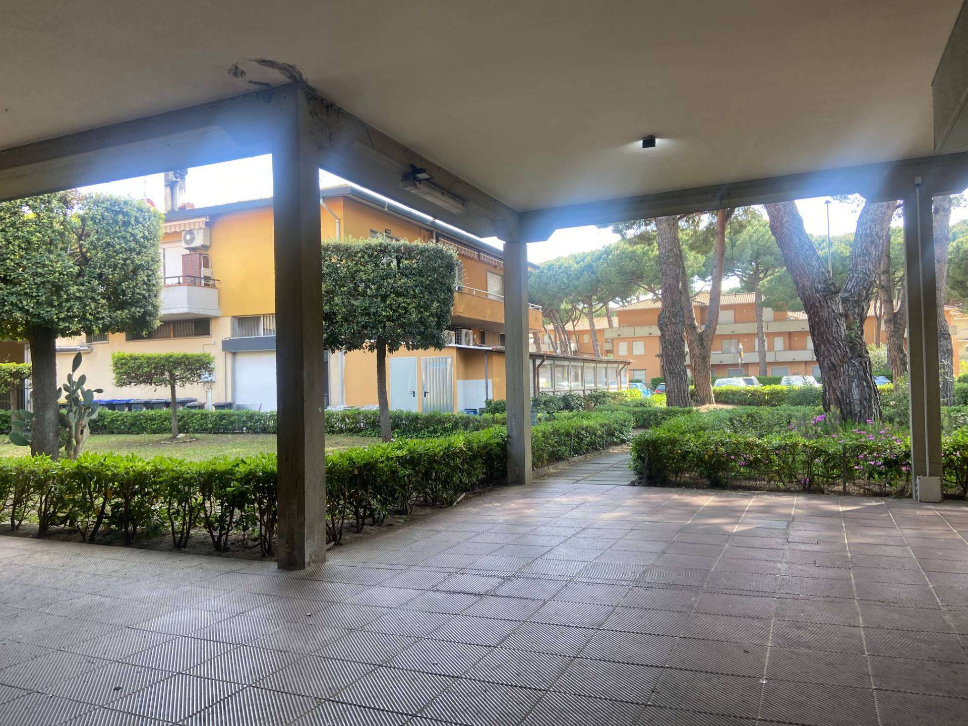  - foto 11