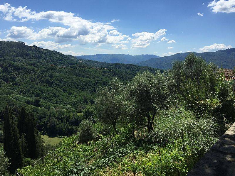 immagine annuncio 1 di 2
