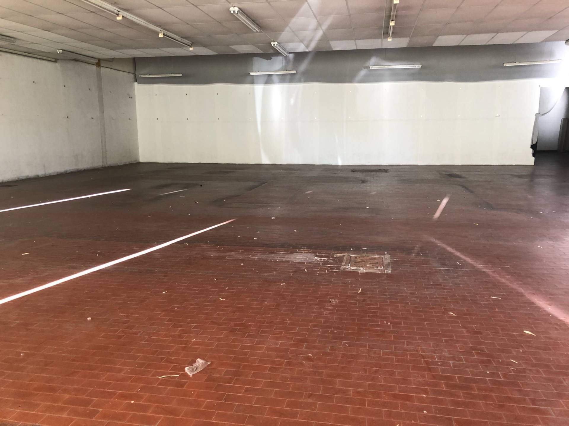 Attività  commerciale Via Barcaioli, Altopascio