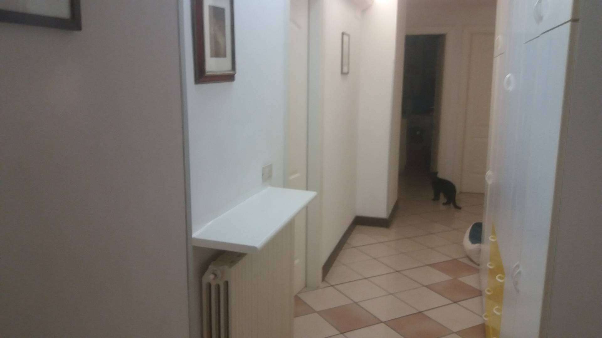  - foto 6
