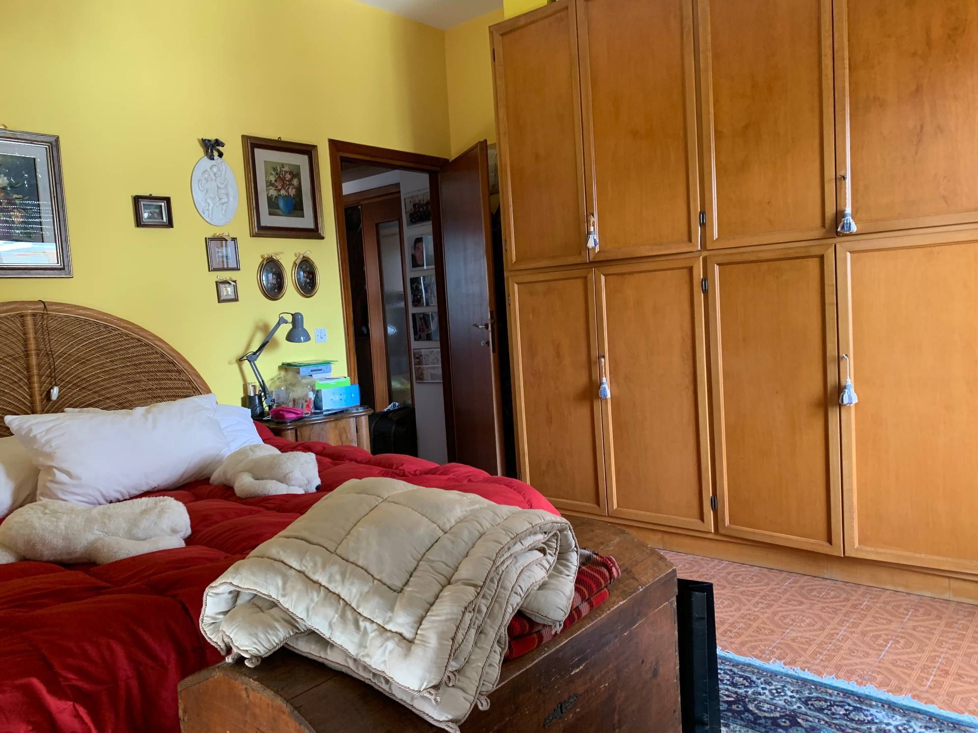 immagine annuncio 9 di 11