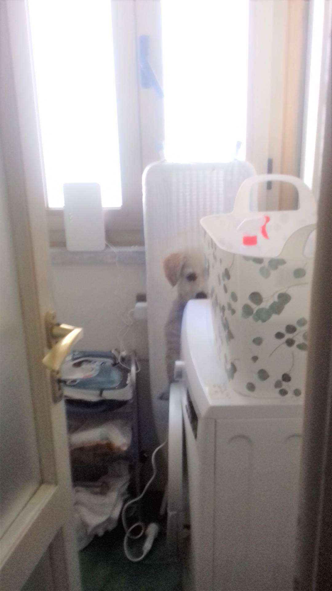  - foto 12