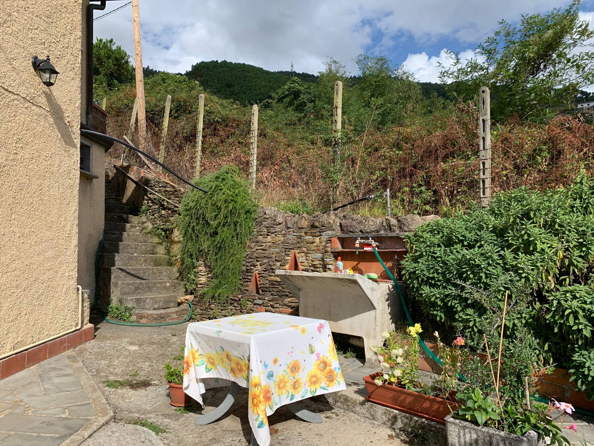  - foto 34