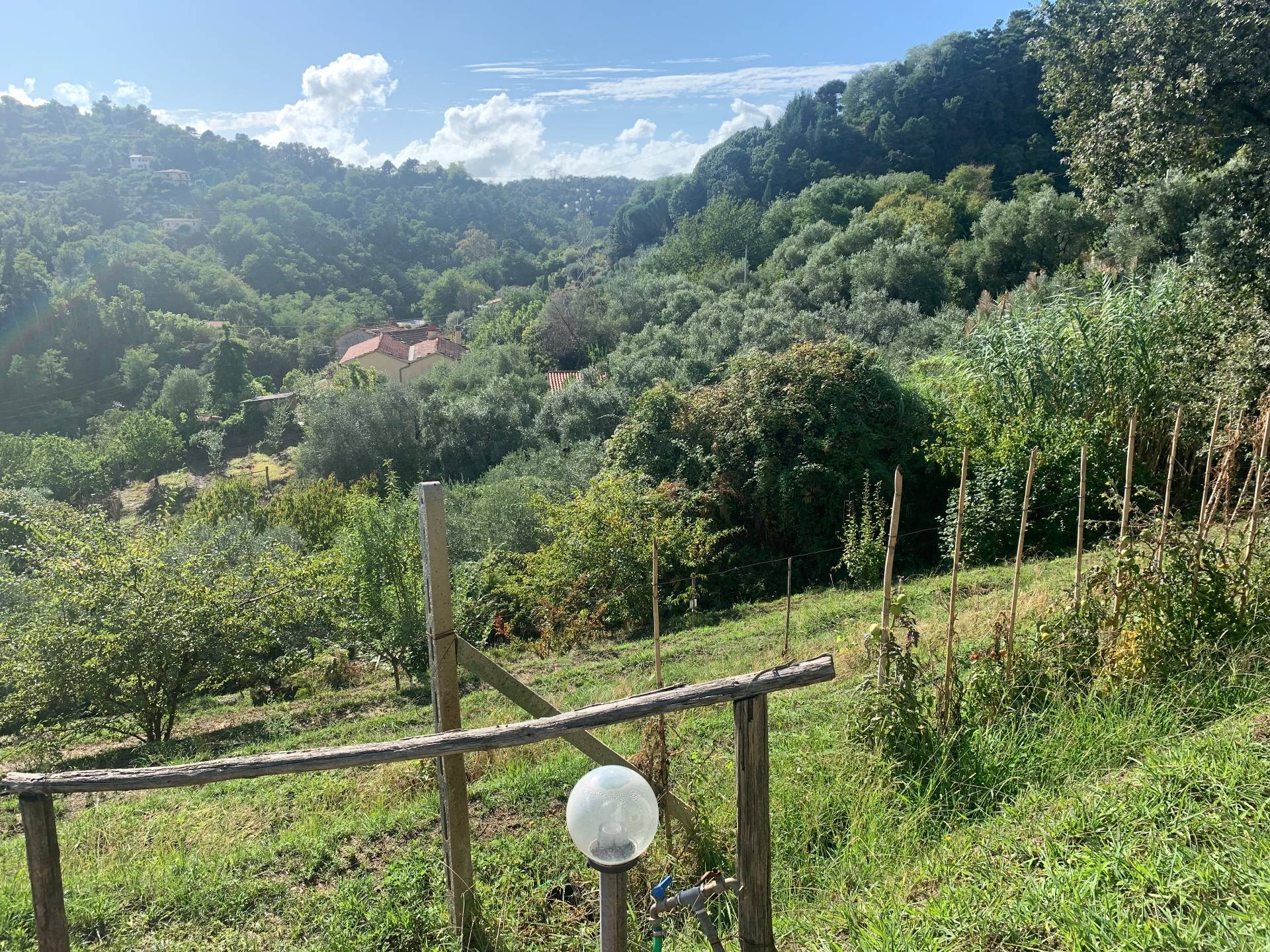  - foto 46