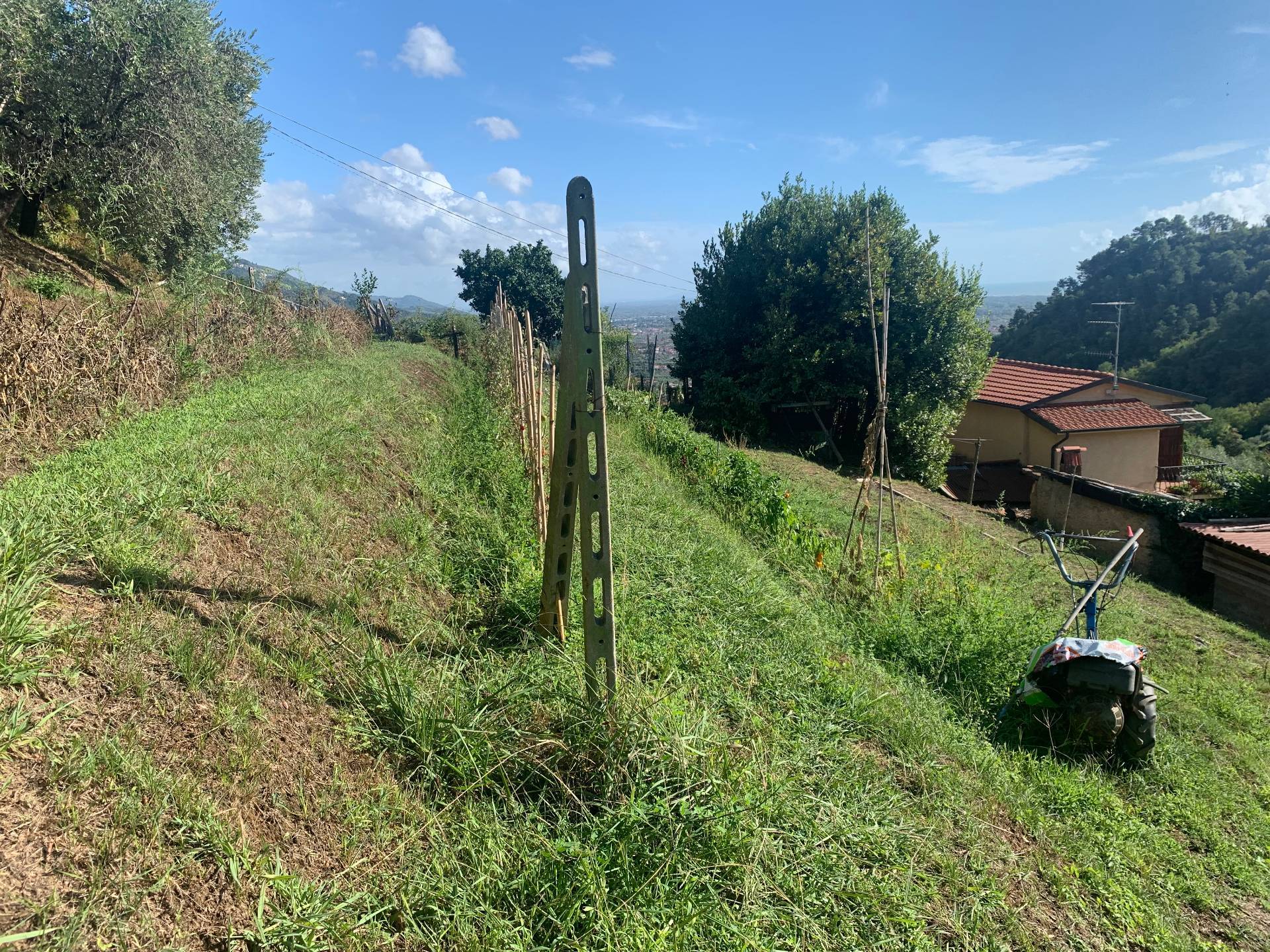  - foto 47