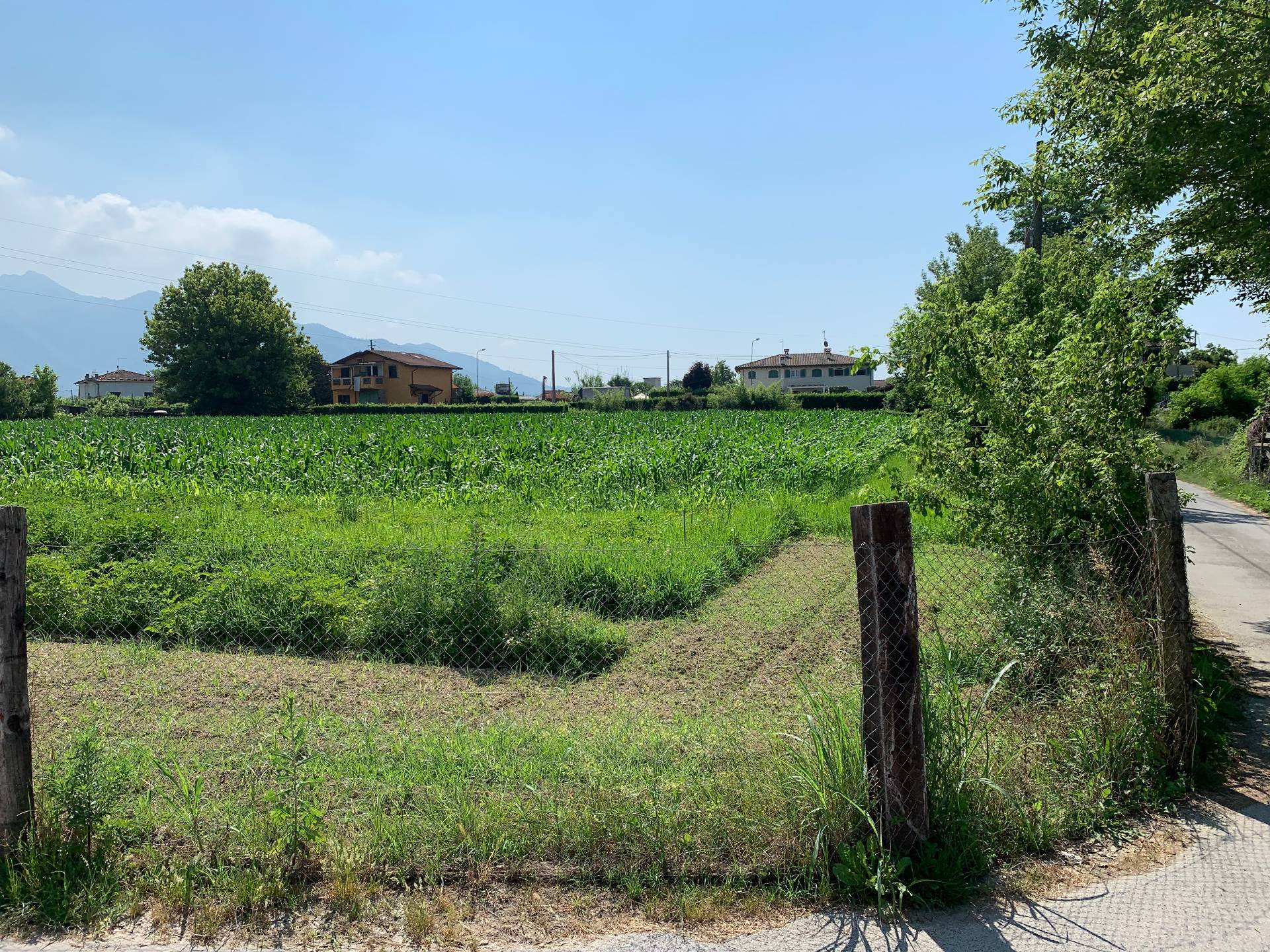 immagine annuncio 11 di 15
