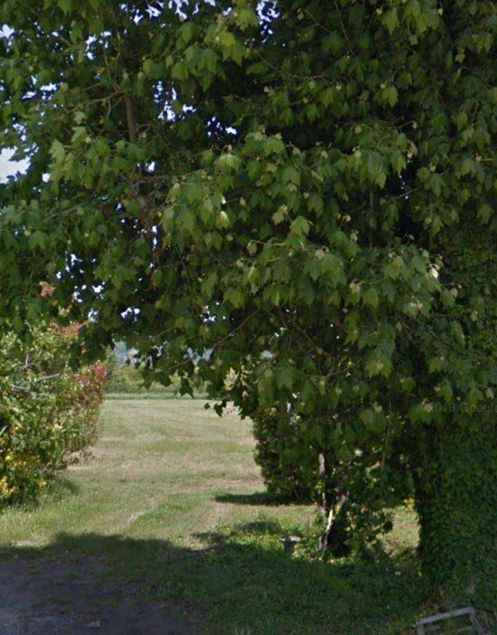 - foto 11
