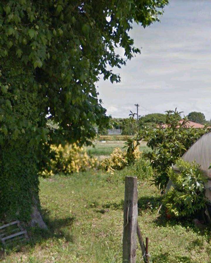  - foto 14