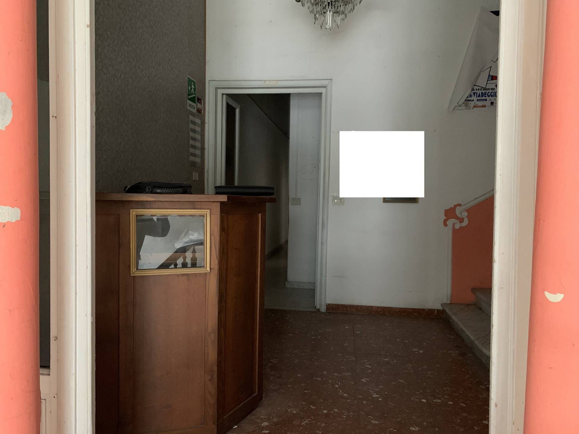 Attività  commerciale Via Giuseppe Zanardelli, Viareggio