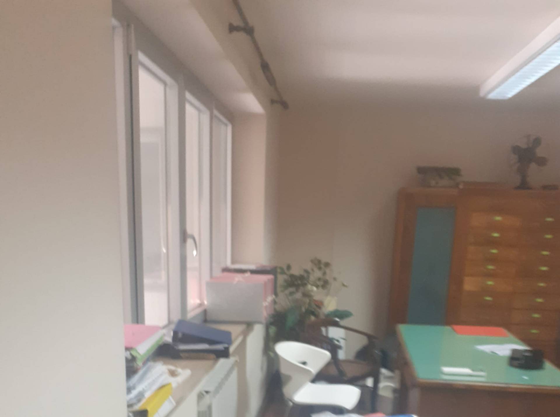 - foto 11