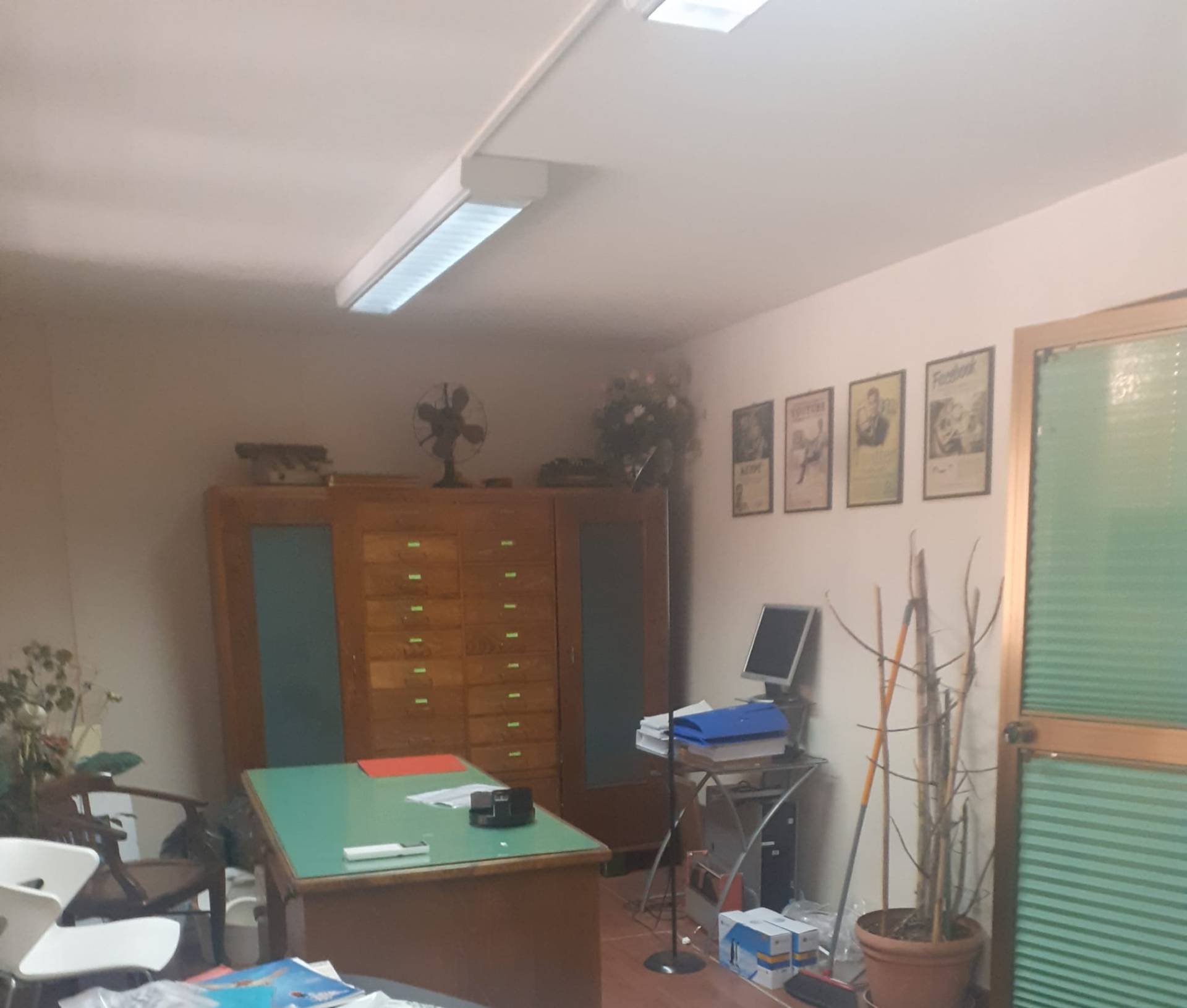  - foto 13