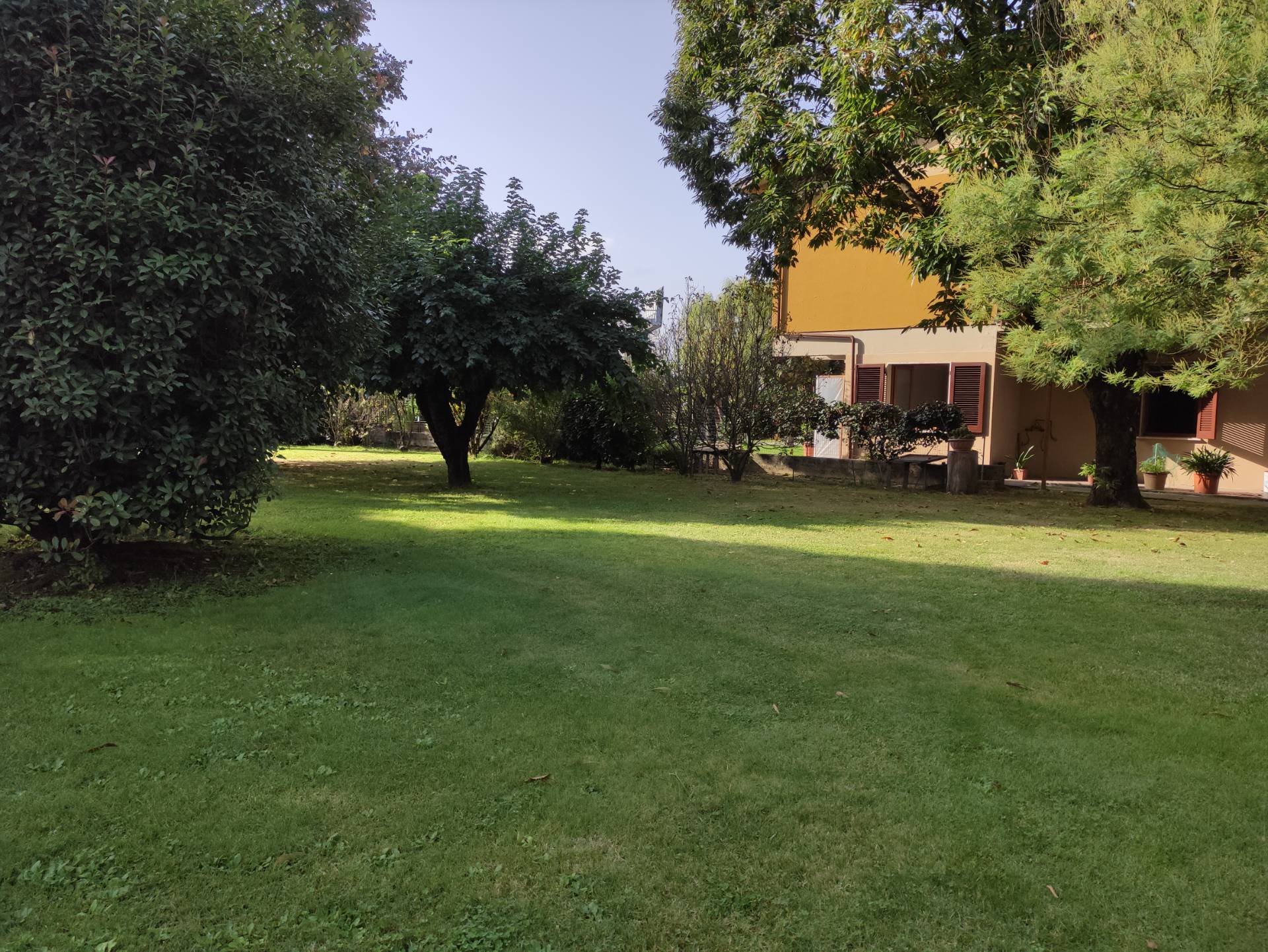  - foto 30