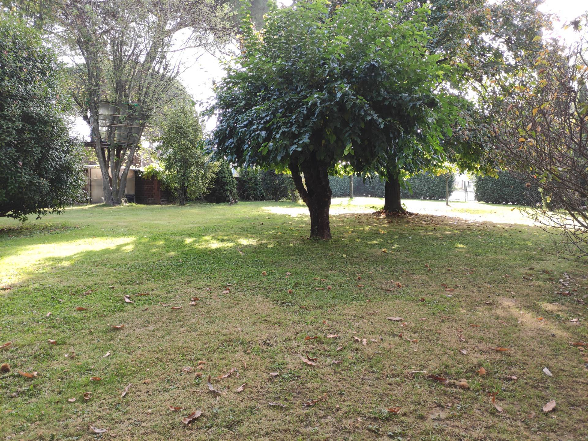  - foto 31