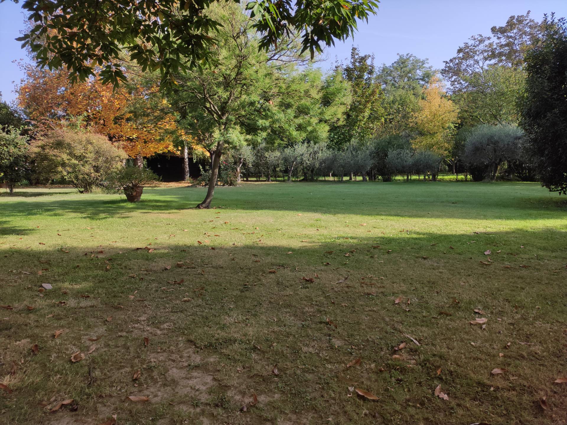  - foto 32