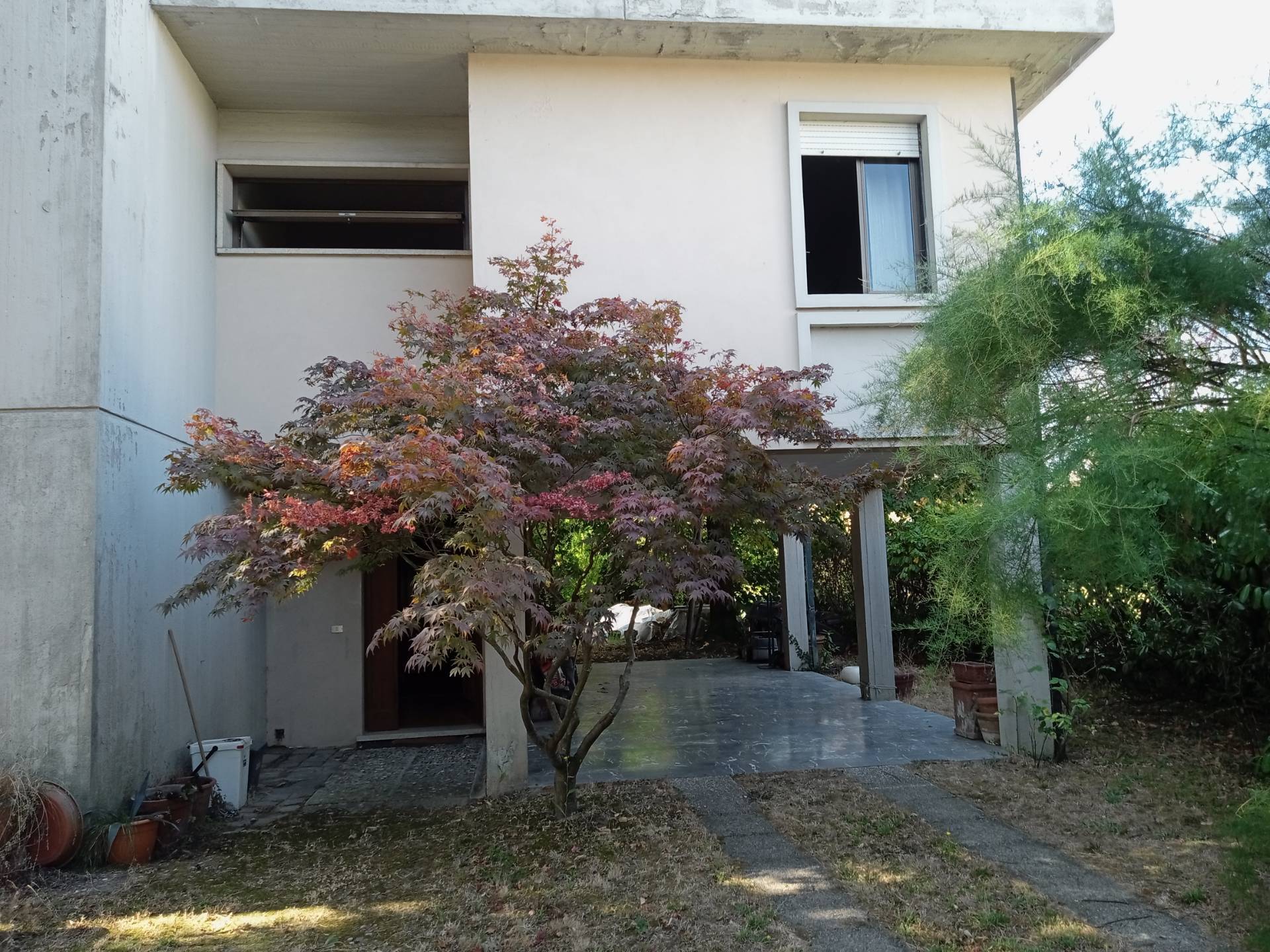  - foto 2