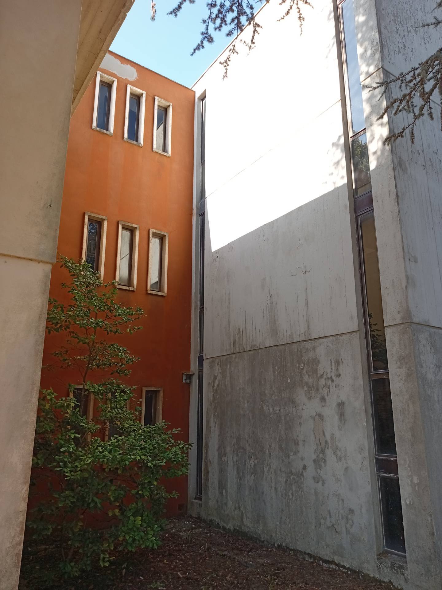  - foto 5