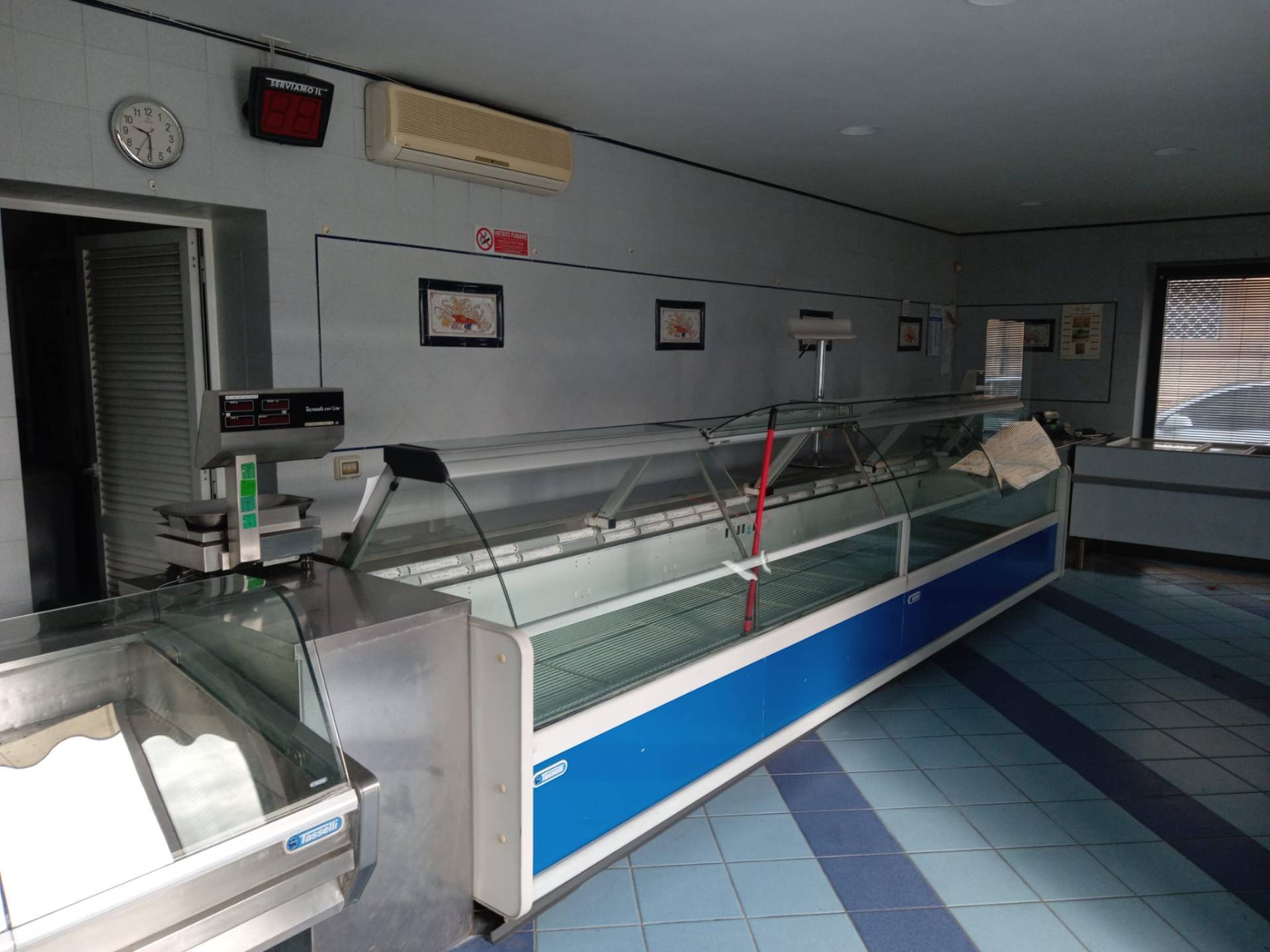Attività  commerciale viareggio, Viareggio