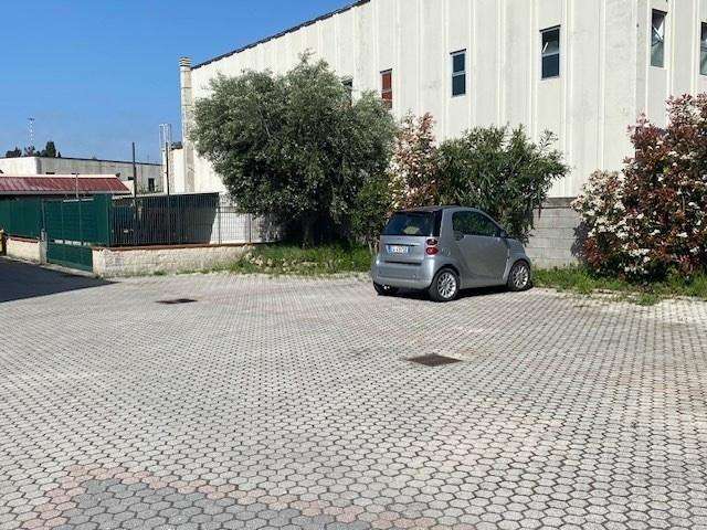  - foto 7