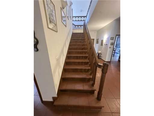  - foto 35