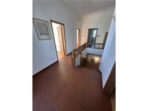  - foto 38