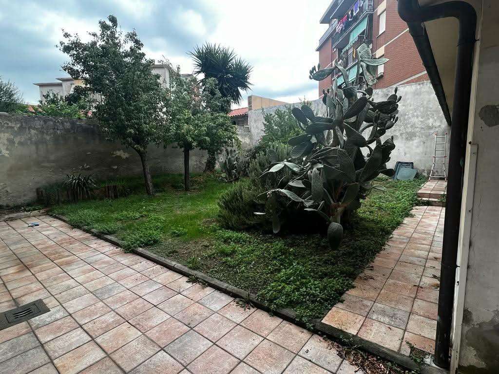  - foto 7