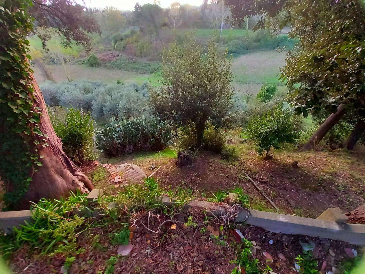  - foto 31