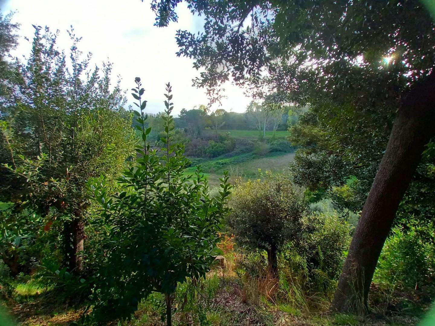  - foto 37