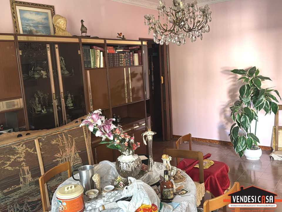 immagine annuncio 1 di 8