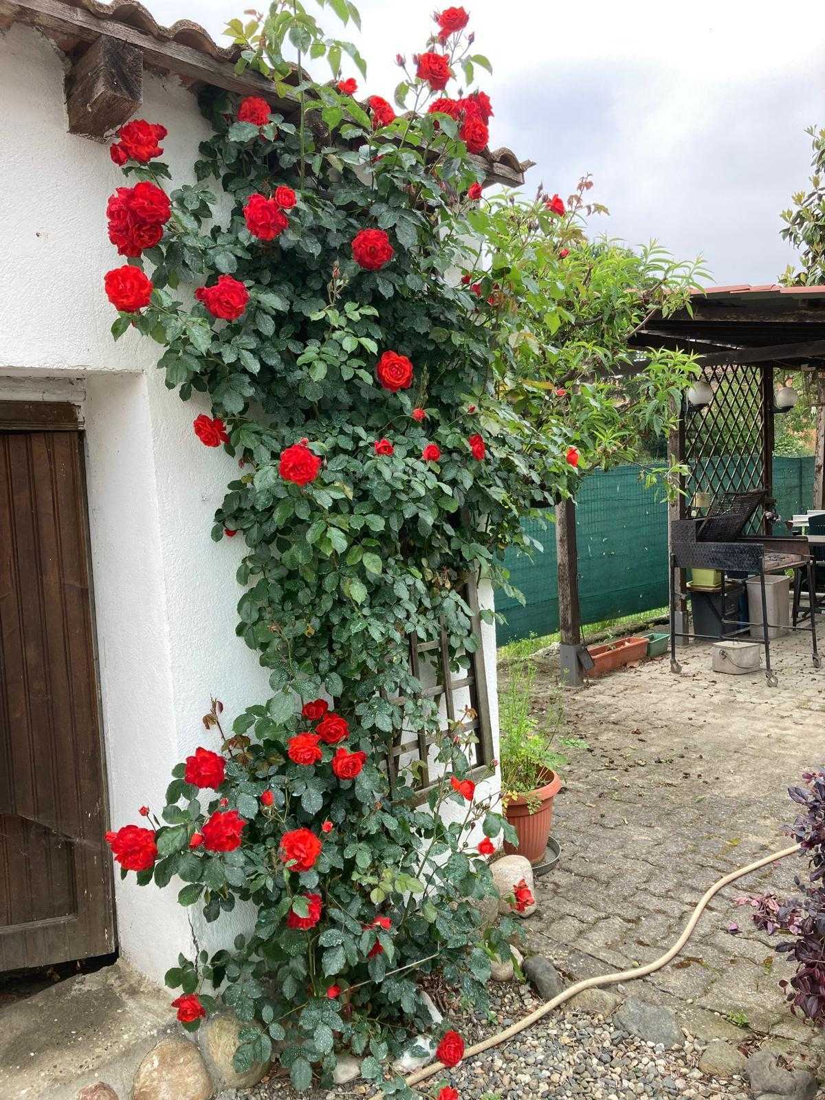  - foto 6