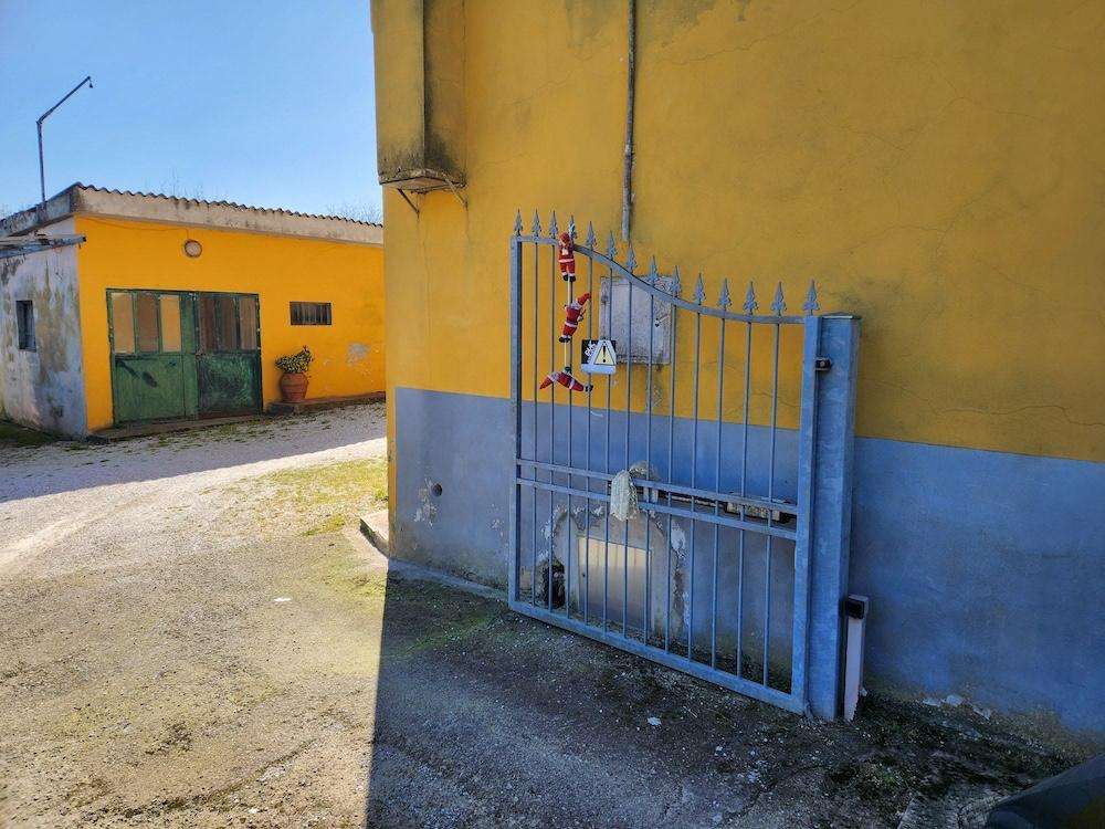  - foto 3