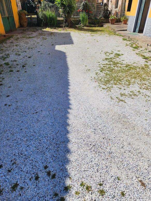  - foto 5