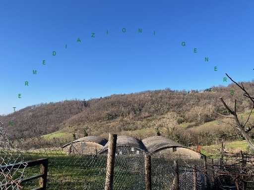 - foto 4