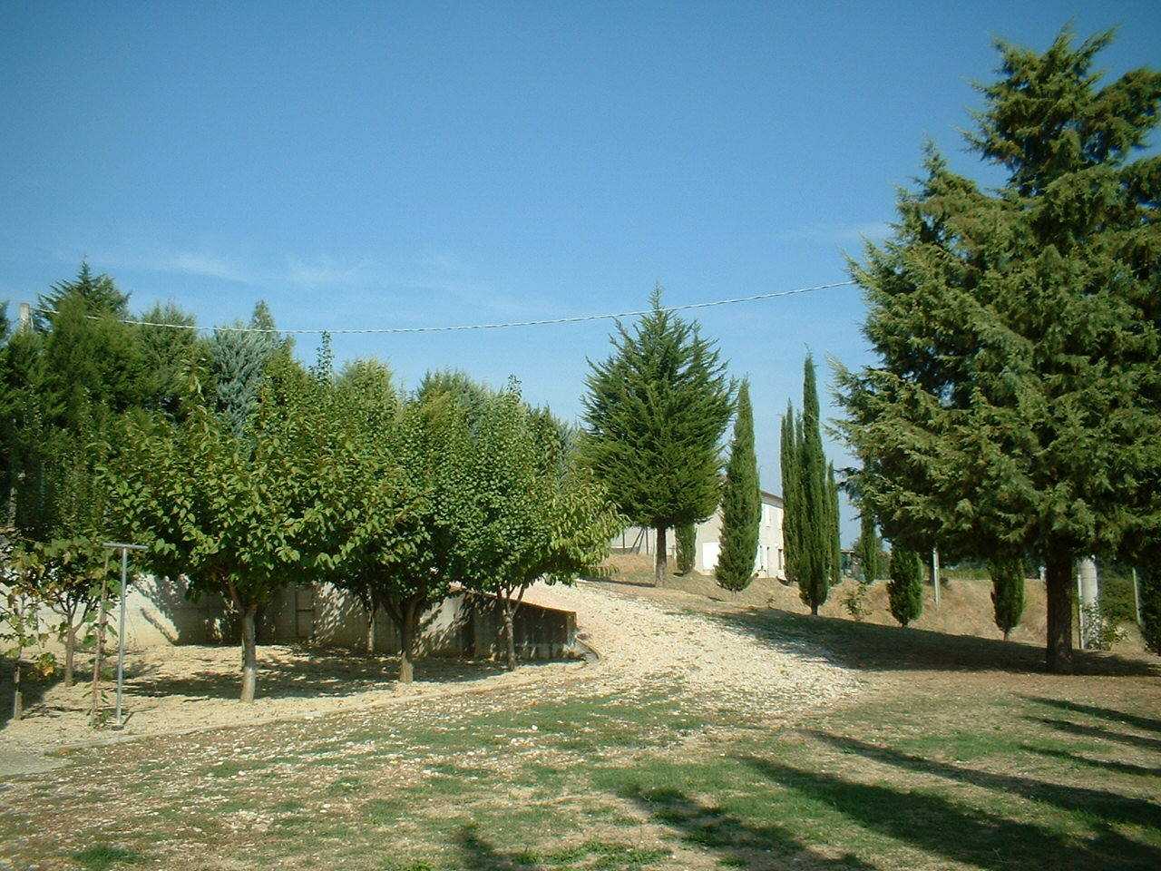  - foto 14