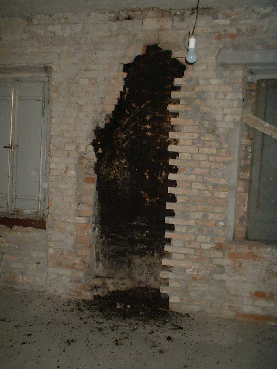  - foto 23