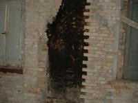  - foto 34