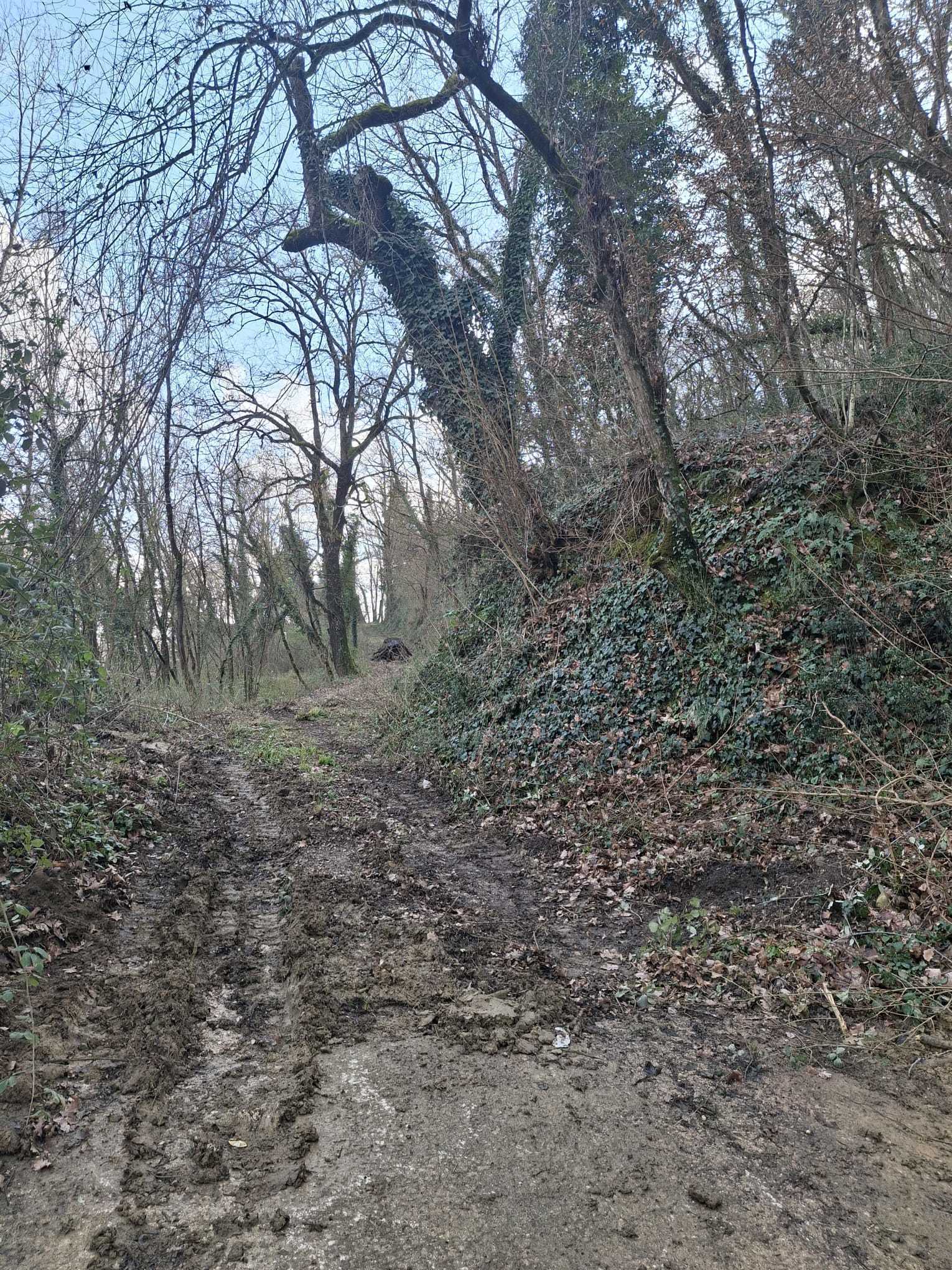  - foto 12
