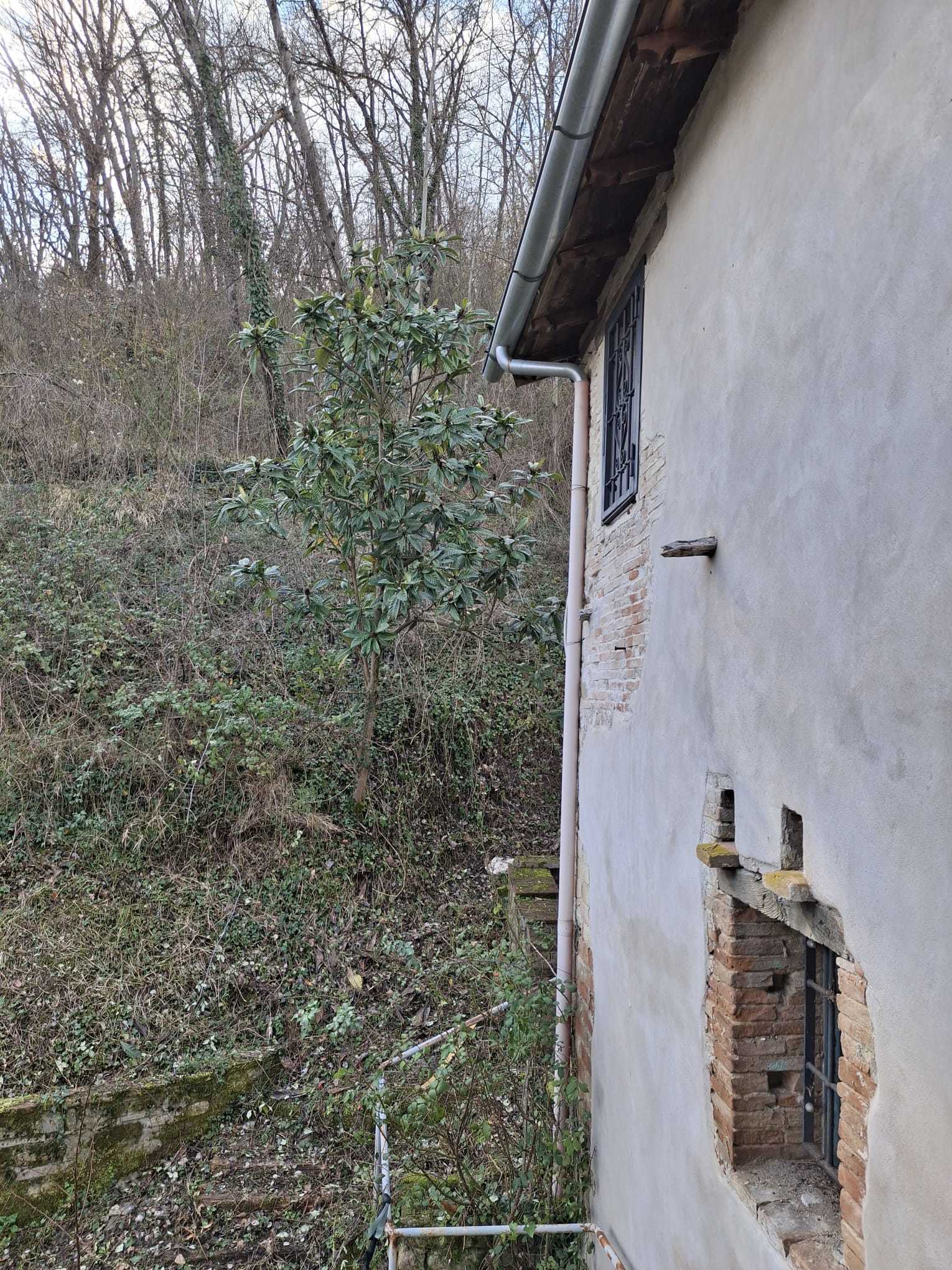  - foto 31
