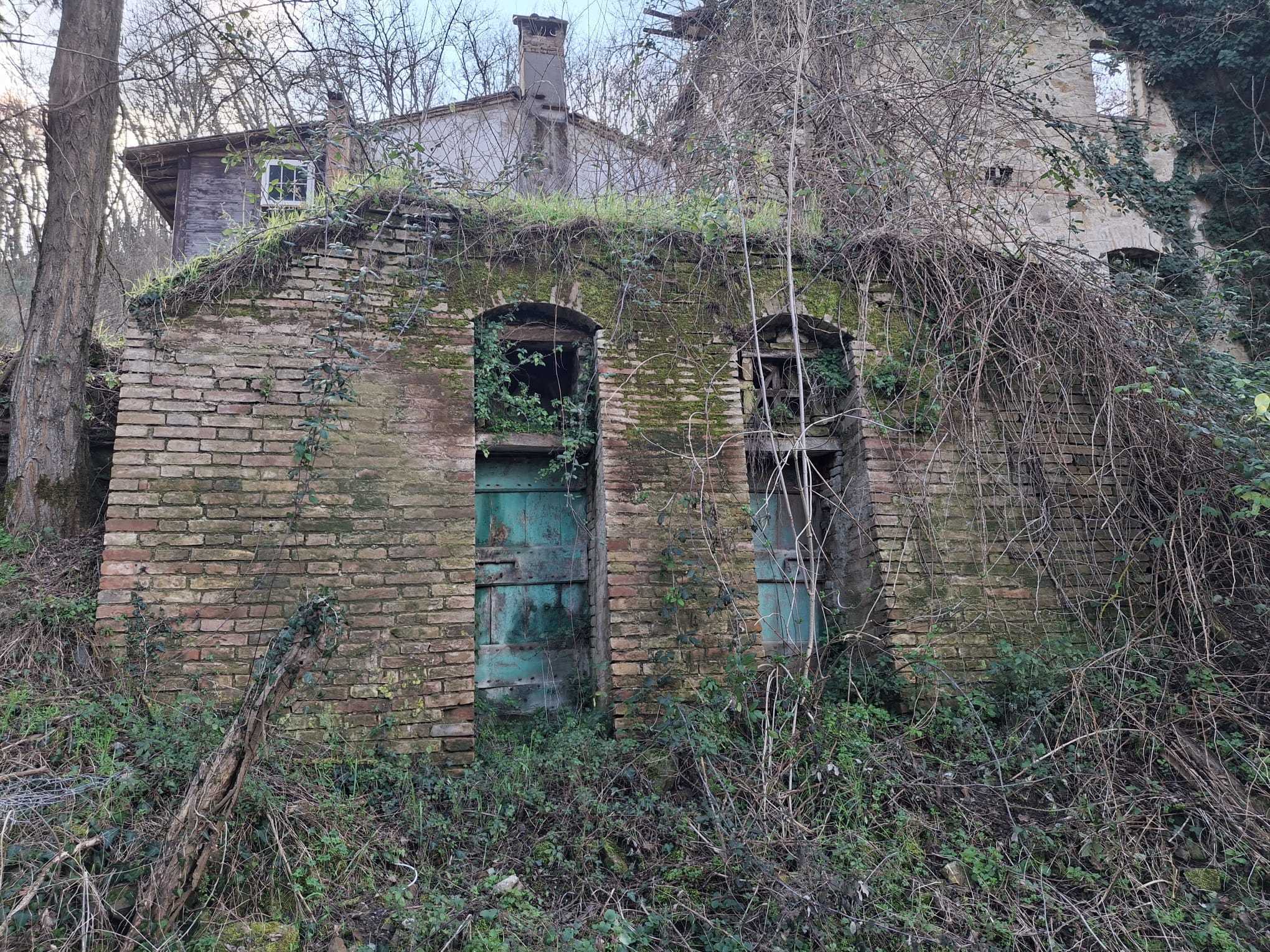  - foto 41